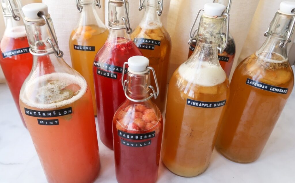 Refrescos fermentados
