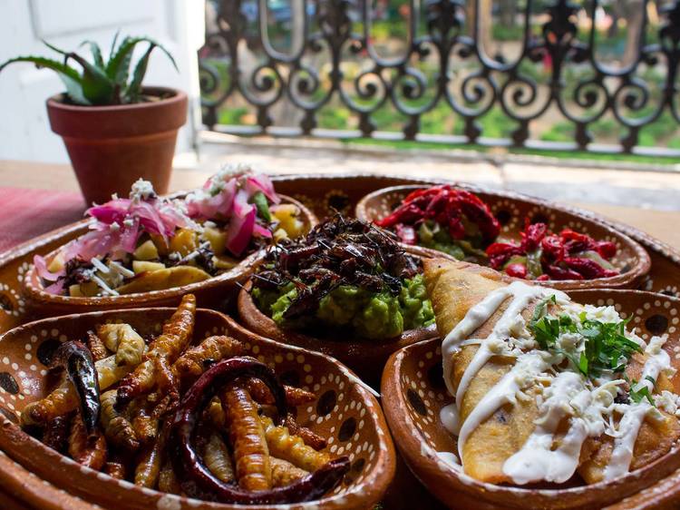 Turismo gastronómico en coyoacán